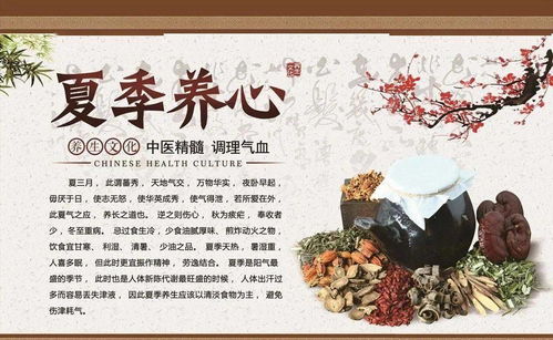夏季中醫養生指南 科學調養，安度盛夏